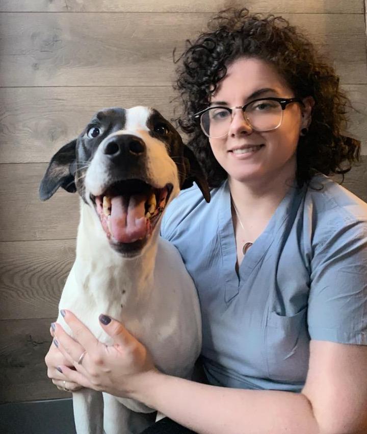 Cresskill Veterinarians Experienced Veterinarians in Cresskill